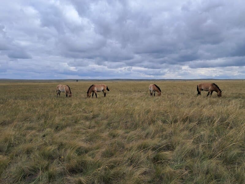 Заповедник Оренбургский, Заповедники и парки